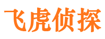 东山飞虎私家侦探公司